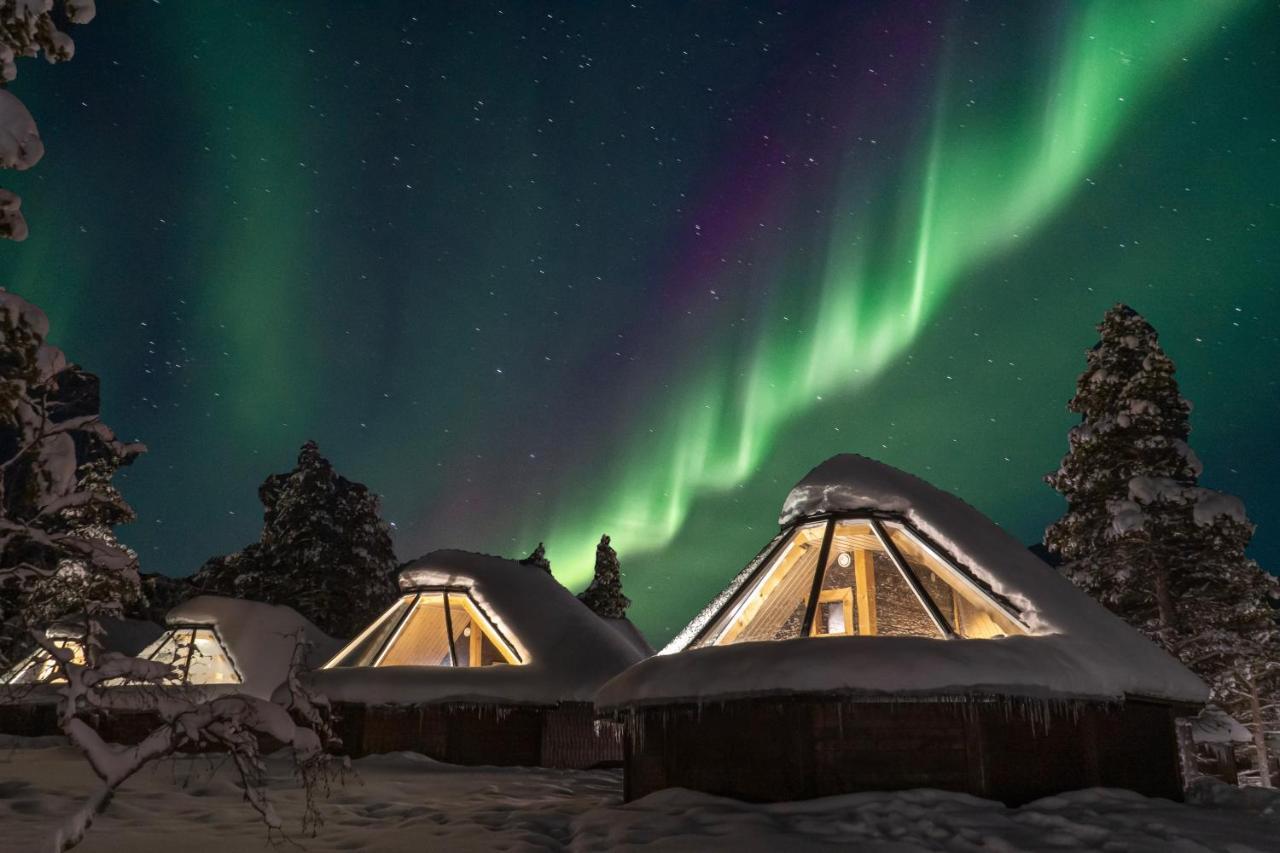 Wilderness Muotka & Igloos Hotelli